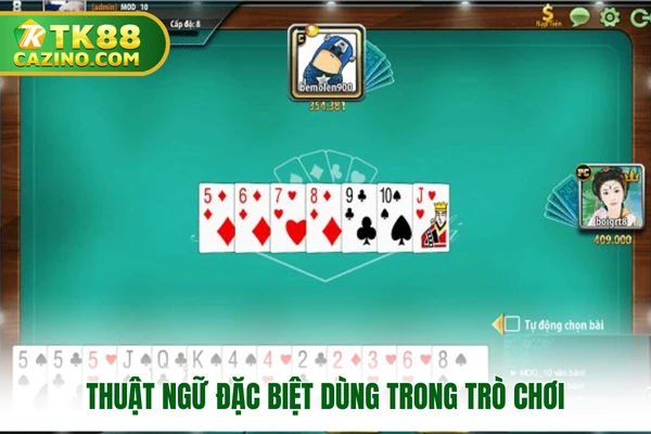 Thuật ngữ đặc biệt dùng trong trò chơi