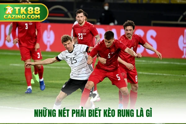 Những nét phải biết kèo rung là gì